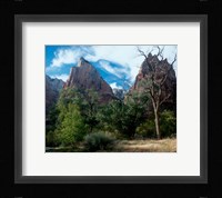 Zion B Fine Art Print