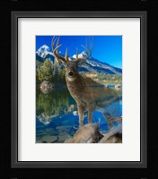 Point Of View 2 Fine Art Print