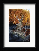 Minnesota Autumn Fine Art Print
