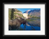 Morning Time Fine Art Print