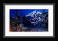 Teton Autumn Fine Art Print