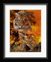 Baby Steps Fine Art Print