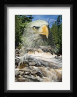 From Above Fine Art Print