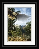 Above The Rim Fine Art Print