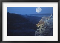 Enter The Badlands Fine Art Print