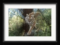 Pursuit Fine Art Print