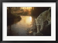 Misty Water Morn Fine Art Print