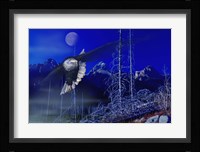 Misty Moonlight Fine Art Print