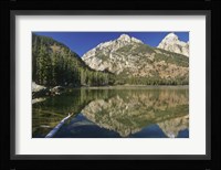 Teton D Fine Art Print