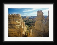 Bryce Canyon B Framed Print