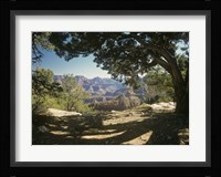 Grand Canyon D Framed Print