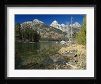 Teton M Fine Art Print