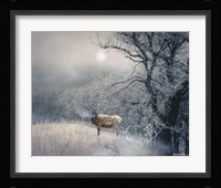 Sanctuary Fine Art Print