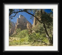 Zion D Fine Art Print