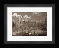 Sepia Teton 1 Fine Art Print