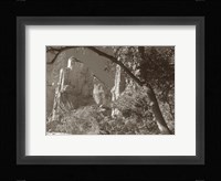 Sepia Zion 2 Framed Print