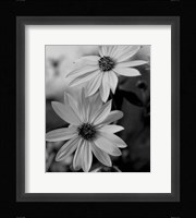 Wildflowers 1 Fine Art Print