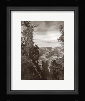 Sepia Grand Canyon 2 Fine Art Print