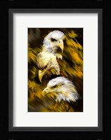 Eagle Three Fine Art Print