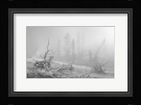 Yellowstone 3 Fine Art Print