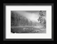 Yellowstone 1 Fine Art Print