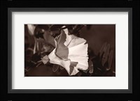 White Flower Bloom Black And White I Fine Art Print