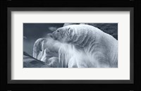 Arctic Frost Fine Art Print
