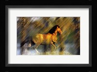 Wild Horses in the Badlands II Fine Art Print