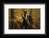 Wild Horses in the Badlands I Fine Art Print
