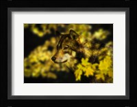 Gold Shadows 2 Fine Art Print