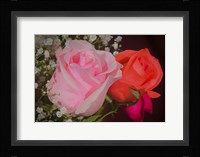 The Roses Pink And Red Fine Art Print