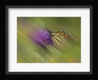 Natural Motif V Fine Art Print
