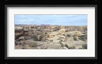Canyonland 18 Fine Art Print