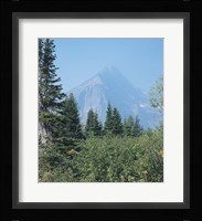 Misty Blue Mountains Fine Art Print