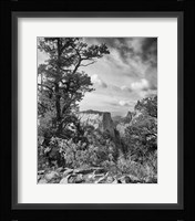 Zion 4 Fine Art Print