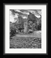 Zion 9 Fine Art Print