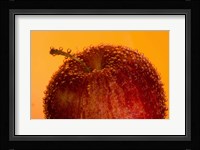 Red Fruit And Water Droplets Fine Art Print