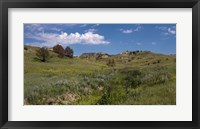 Yellow Wildflowers And Mountains Fine Art Print