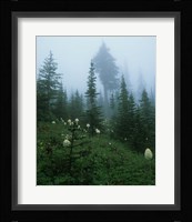 Misty Green Trees And Field II Fine Art Print