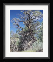 Theodore Roosevelt National Park 43 Fine Art Print