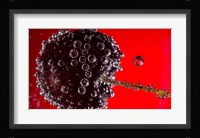 Cherry Covered In Water Drops V Fine Art Print