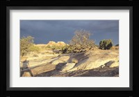 Canyonland 14 Fine Art Print