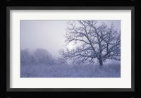 Snow Terrain Tree VI Fine Art Print