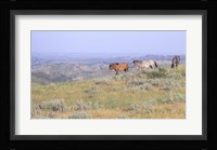 Wild Horses 24 Fine Art Print