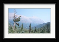 Glacier National Park 19 Framed Print