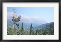 Glacier National Park 19 Framed Print
