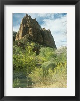 Zion 5 Framed Print