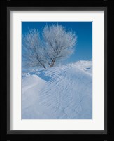 Snow Terrain Tree V Fine Art Print