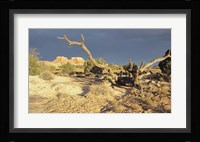 Canyonland 13 Framed Print