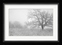 Buffalo River Snow Field Fine Art Print